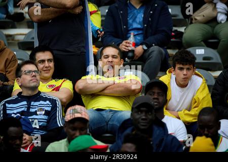 La Plata, Argentinien. 21. Mai 2023. Kolumbianischer Fan reagiert während eines Spiels zwischen Israel und Kolumbien im Rahmen der Weltmeisterschaft U20 Argentinien 2023 – Gruppe C auf der Estadio Unico „Diego Armando Maradona“. Endergebnis: Israel 1 - 2 Kolumbien (Foto: Roberto Tuero/SOPA Images/Sipa USA) Gutschrift: SIPA USA/Alamy Live News Stockfoto