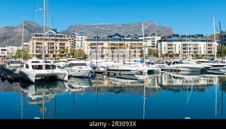 Panoramablick auf die Yachten im Hafen von Kapstadt mit Tafelberg-Reflexion, Kapstadt, Südafrika. Stockfoto