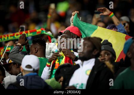 La Plata, Argentinien. 21. Mai 2023. Senegal-Fans, die bei einem Spiel zwischen Japan und Senegal im Rahmen der Weltmeisterschaft U20 Argentinien 2023 gesehen wurden – Gruppe C auf der Estadio Unico „Diego Armando Maradona“. Endergebnis: Japan 1 - 0 Senegal (Foto: Roberto Tuero/SOPA Images/Sipa USA) Gutschrift: SIPA USA/Alamy Live News Stockfoto