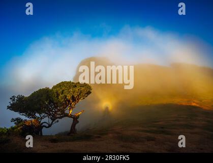 Ein Brocken-Spectre - optisches Phänomen. Auch bekannt als Brocken-Bogen, Bergblick oder Gespenst der Brocken Stockfoto