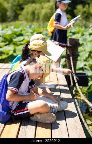 Fröhliche chinesische Schulkinder, die im Park zeichnen Stockfoto
