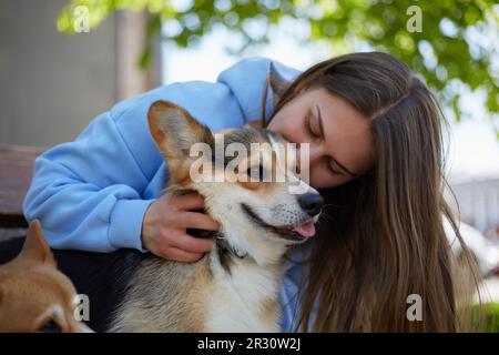 Hundefreundin, die mit einem Corgi im Freien kuschelt. Liebevoller Tierbesitzer, der mit dem jungen Pembroke Welsh Corgi Welpe auf einer Bank spielt Stockfoto