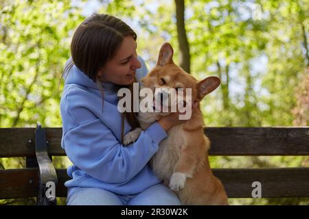 Der Besitzer kuschelt mit einem lustigen Corgi-Hund im Green Park. Fröhliche junge Frau, die mit dem braunen Welsh Corgi Welsh draußen spielt Stockfoto