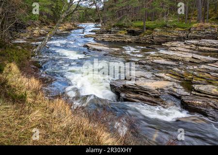 Der schnell fließende Fluss Dee stromabwärts des Linn O’ Dee bei Braemar in Aberdeenshire, Schottland, Vereinigtes Königreich Stockfoto