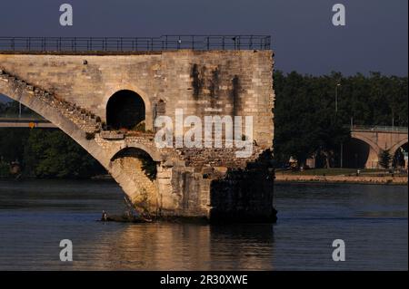 Die zerstörte Pont d'Avignon oder Pont Saint-Bénézet, eine mittelalterliche Brücke über den Fluss Rhône, wo nur vier Bögen einer ursprünglichen 22 überlebt haben, der Rest von Überschwemmungen weggefegt oder im Krieg zerstört. In Avignon, Hauptstadt des Departements Vaucluse in der französischen Region Provence-Alpes-Côte-d’Azur. Dieses Foto wurde an einem frühen Juli Morgen aufgenommen, zwischen 7am und 8am Uhr. Stockfoto