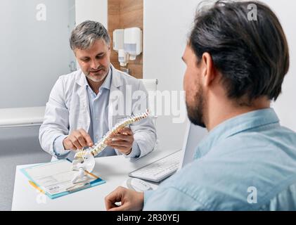 Der Chiropraktiker erklärt dem Patienten die Backbone-Probleme am anatomischen Wirbelsäulenmodell während des Besuchs in der Osteopathie-Klinik. Behandlung von Wirbelsäulenverletzungen und Stockfoto