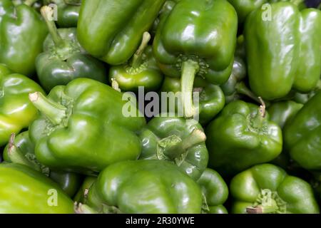 Selektives Fokusbild von grüner Paprika oder Paprika auf dem Markt. Speisekonzept Stockfoto