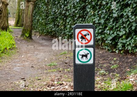 Wegweiser mit Piktogrammen für Hunde, deren Stuhlgang verboten ist, und Hunde müssen im Wald in Hilversum, Niederlande, an der Leine stehen Stockfoto