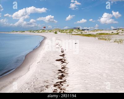 Sandstrand und Wachturm an der Küste der Insel Marker Wadden im Markermeer See, Niederlande Stockfoto