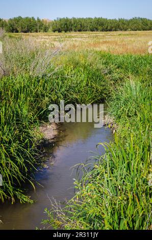 Achate Fossil Beds National Monument in Nebraska Stockfoto