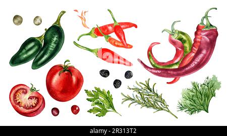 Set mit verschiedenen heißen Paprika und Tomaten, Aquarellfarben, isoliert auf Weiß. Kräuter, Tobasco, rotes Chili, Jalapeno, handgezeichnet. Entwurfselement für Stockfoto