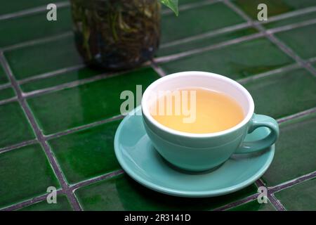 Heißer Kamillentee in einer grünen Tasse auf einem grün gefliesten Tisch. Stockfoto