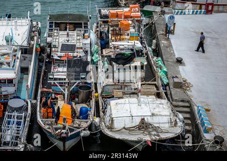 Taipeh. 22. Mai 2023. Ein Mann geht am 22. März 05/2023 am Hafen von Tamsui in New Taipei City, Taiwan, entlang. Wiktor Dabkowski Credit: dpa/Alamy Live News Stockfoto