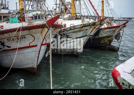 Taipeh. 22. Mai 2023. Fischereifahrzeuge, die am 22. März 05/2023 am Kai des Fischereihafens Tamsui in New Taipei City, Taiwan, festgemacht haben, von Wiktor Dabkowski Credit: dpa/Alamy Live News Stockfoto