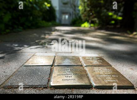 Stolpersteine in deutscher Stadt, die den (meist jüdischen) Bewohnern eines Hauses gedenken, das in nazideutschland ermordet wurde Stockfoto