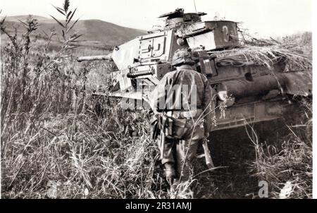 World war Two B&W Foto eines SS-Soldaten aus der Wiking Division in Camo Smock im südlichen Bereich der russischen Front 1942 Stockfoto