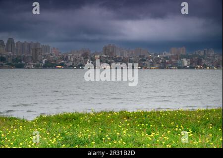 In der Dämmerung schweben die kleinen gelben Blumen am Flussufer mit dem Wind. Die Gebäude mit Blick auf Tamsui vom linken Ufer von Bali, New Taipei City. Stockfoto