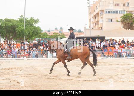 ROQUETAS DE MAR, SPANIEN - 21. MAI 2023 Demonstration der Reitfertigkeiten während des reinrassigen spanischen Pferderennwettbewerbs Stockfoto