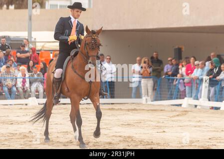 ROQUETAS DE MAR, SPANIEN - 21. MAI 2023 Demonstration der Reitfertigkeiten während des reinrassigen spanischen Pferderennwettbewerbs Stockfoto