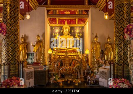 Goldene Buddha-Statue im Tempel Wat Phra Si Rattana Mahathat, Phitsanulok, Thailand, Asien | Goldene Buddha-Statue im Wat Phra Sri Rattana Mahathat Stockfoto