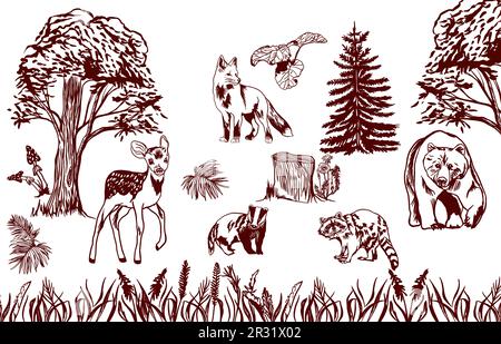 Vektordarstellung von Waldtieren und Pflanzen. Einfarbiges Bild. Ein Element des Innendesigns, Grußkarten, Banner, Flyer. Bär, Hundefreund, Waschbär Stock Vektor