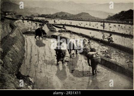 "Veröffentlichungen der University of California in amerikanischer Archäologie und Ethnologie" (1903) Stockfoto