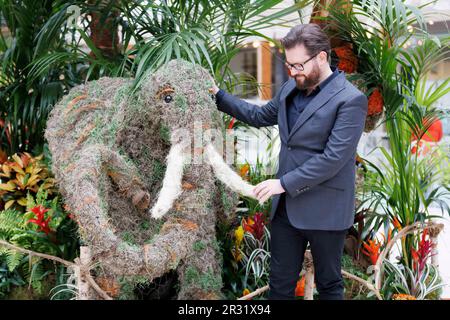 REDAKTIONELLE VERWENDUNG NUR Florist Neill Strain posiert mit seiner Blumeninstallation „Safari in the City“ in der Halkin Arcade in London, die für das Belgravia in Bloom Festival vom 22. Bis 29. Mai in London entworfen wurde. Foto: Montag, 22. Mai 2023. Stockfoto