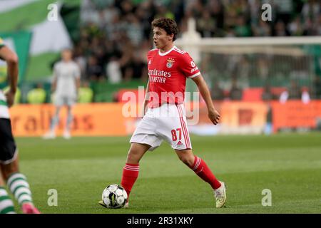 Lissabon, Portugal. 21. Mai 2023. Joao Neves aus Benfica in Aktion während des Fußballspiels der Portugiesischen Liga zwischen Sporting CP und SL Benfica am 21. Mai 2023 im Jose Alvalade Stadion in Lissabon, Portugal. (Kreditbild: © Pedro Fiuza/ZUMA Press Wire) NUR REDAKTIONELLE VERWENDUNG! Nicht für den kommerziellen GEBRAUCH! Stockfoto