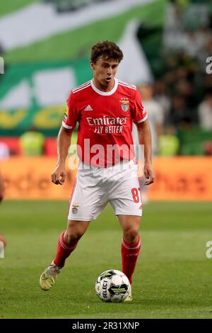 Lissabon, Portugal. 21. Mai 2023. Joao Neves aus Benfica in Aktion während des Fußballspiels der Portugiesischen Liga zwischen Sporting CP und SL Benfica am 21. Mai 2023 im Jose Alvalade Stadion in Lissabon, Portugal. (Kreditbild: © Pedro Fiuza/ZUMA Press Wire) NUR REDAKTIONELLE VERWENDUNG! Nicht für den kommerziellen GEBRAUCH! Stockfoto