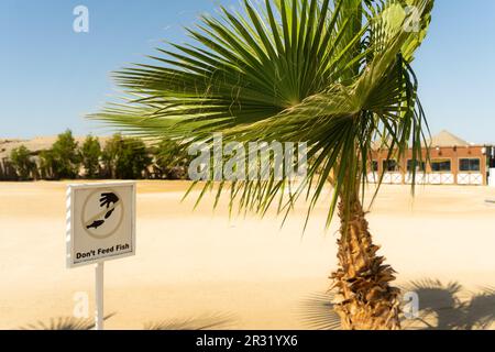 Fischteller nicht füttern, Einschränkung, Warnung, Sicherheitsaufkleber, Strandschild, Stockfoto