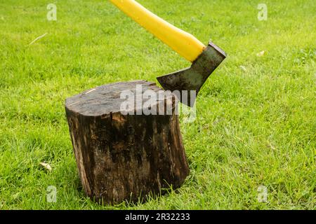 Eine Axt, die im Baumstumpf steckt Stockfoto