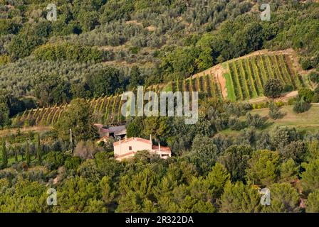 Landschaft in der Nähe von Castagneto Carducci Stockfoto