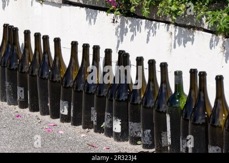 Weinflaschen in Folge Stockfoto