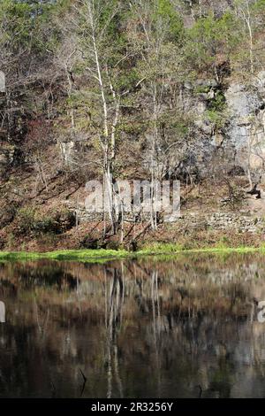 Die Ozark National Scenic Riverways, Jacks Fork, Missouri, USA, sind ein reines Wasser mit Reflexionen Stockfoto