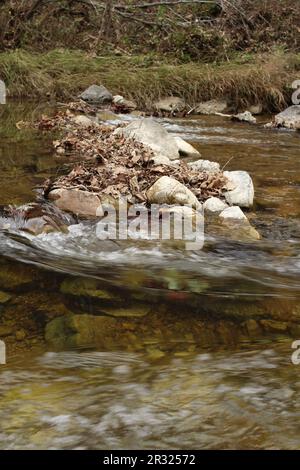 Die Ozark National Scenic Riverways, Jacks Fork, Missouri, USA, sind ein reines Wasser mit Reflexionen Stockfoto