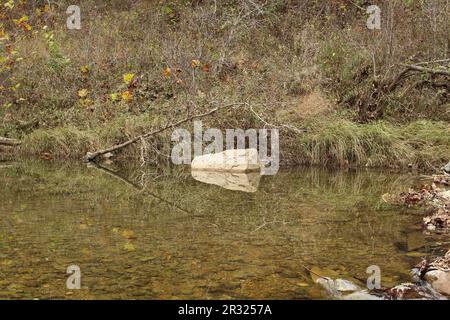 Die Ozark National Scenic Riverways, Jacks Fork, Missouri, USA, sind ein reines Wasser mit Reflexionen Stockfoto