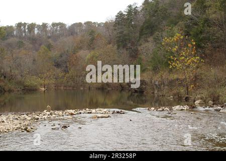 Die Ozark National Scenic Riverways, Jacks Fork, Missouri, USA, sind ein reines Wasser mit Reflexionen Stockfoto