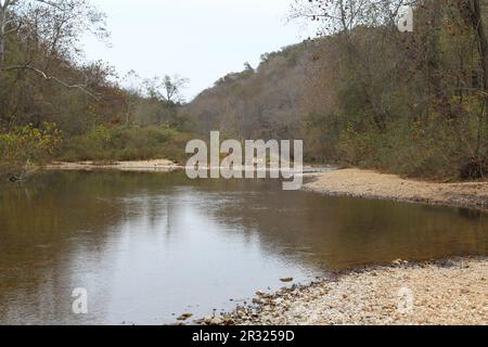 Die Ozark National Scenic Riverways, Jacks Fork, Missouri, USA, sind ein reines Wasser mit Reflexionen Stockfoto