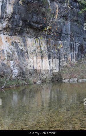 Die Ozark National Scenic Riverways, Jacks Fork, Missouri, USA, sind ein reines Wasser mit Reflexionen Stockfoto