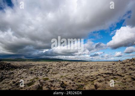 Eldhraun Lavafeldlandschaft im Süden Islands Stockfoto