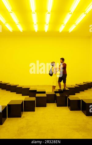 "Neons Corridors Rooms" Bruce Nauman, Künstler der Pirelli Hangar Bicocca Stiftung, Galerie für zeitgenössische Kunst, Mailand, Lombardei, Italien, Europa Stockfoto