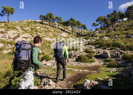 Escursionista ascendiendo al Puig Galatzo , Estellencs, sierra de tramuntana, Mallorca. Die Balearen. Spanien. Stockfoto