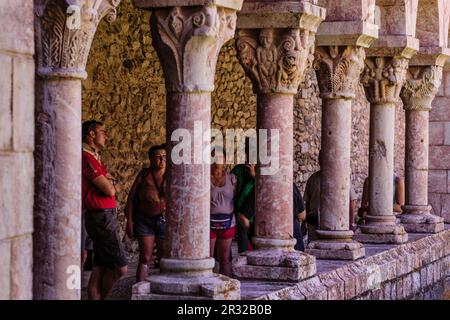 Columnas y capiteles, Claustro del siglo XII, Monasterio Benedictino de Sant Miquel de Cuixa, año 879, pirineos Orientales, Francia, Europa. Stockfoto