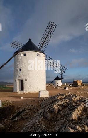 Molinos de Consuegra con el Castillo de La Muela al Fondo, Cerro Calderico, Consuegra, Provincia de Toledo, Kastilien-La Mancha, Spanien. Stockfoto