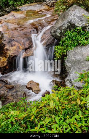 Toktok. Sagarmatha Nationalpark, Khumbu Himal, Nepal, Asien. Stockfoto