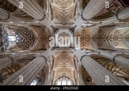 Crucero de la Catedral, Catedral de la Asunción de la Virgen, Salamanca, Comunidad Autónoma de Castilla y León, Spanien. Stockfoto