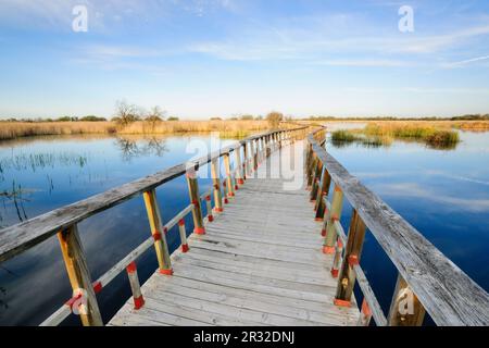 Pasarelas al Amanecer, Parque Nacional Tablas de Daimiel, Ciudad Real, Kastilien-La Mancha, Spanien, Europa. Stockfoto