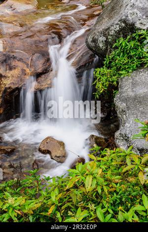 Toktok. Sagarmatha Nationalpark, Khumbu Himal, Nepal, Asien. Stockfoto