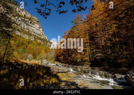 La Ripareta, Cañon de Añisclo, Parque Nacional de Ordesa y Monte Perdido, Comarca del Sobrarbe, Huesca, Aragón, Cordillera de Los Pirineos, Spanien. Stockfoto