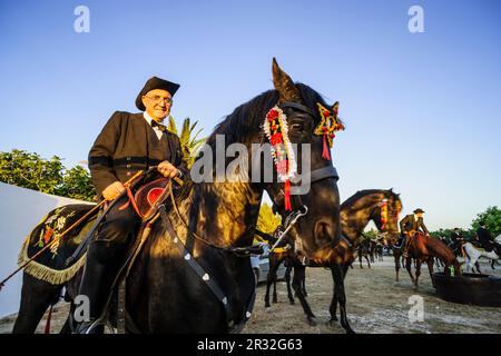 Regreso a Ciutadella, Misa vespertina - Vespres-, Ermita de Sant Joan Gran. Fiestas de Sant Joan. Ciutadella. Menorca, Islas Baleares, españa. Stockfoto